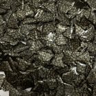 S3-0039 - C14-47