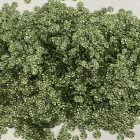 S3-0003 - C12-37 (1)