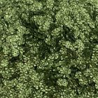 S3-0003 - C12-37 (2)