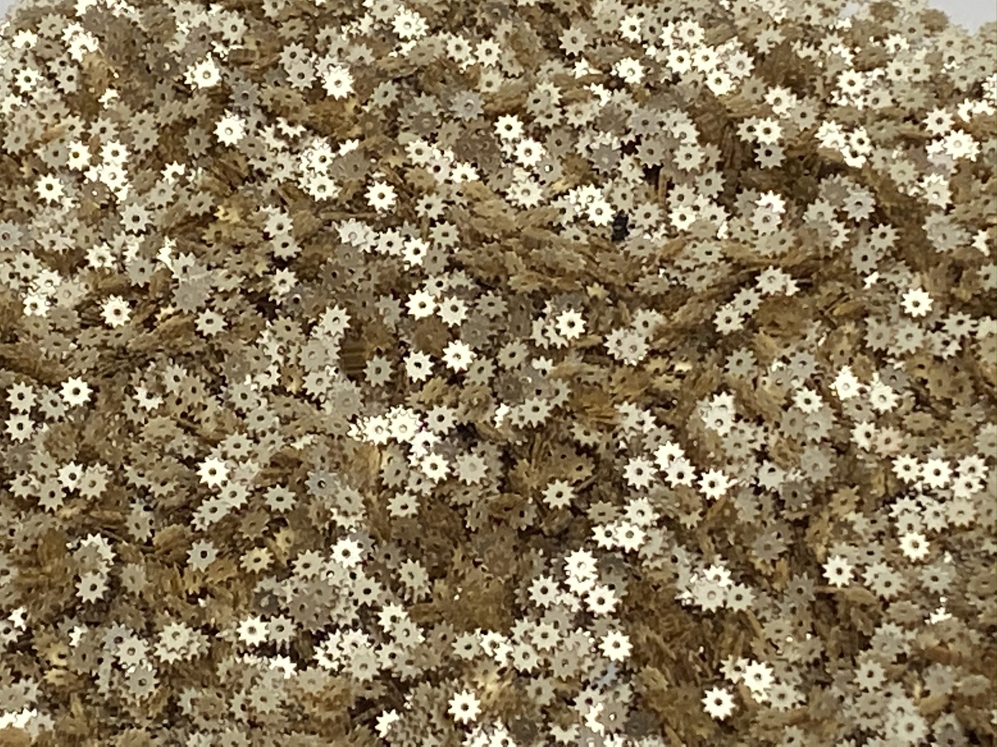 S3-0015 C16-5 1